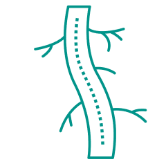 Vascular dysfunction