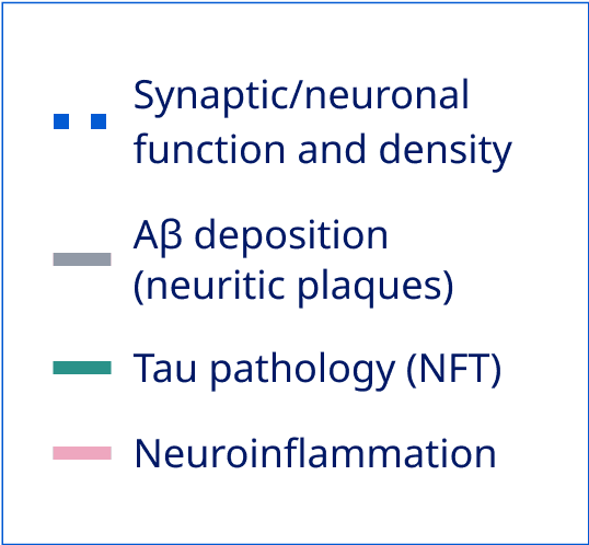 Progression of AD Pathophysiology graph