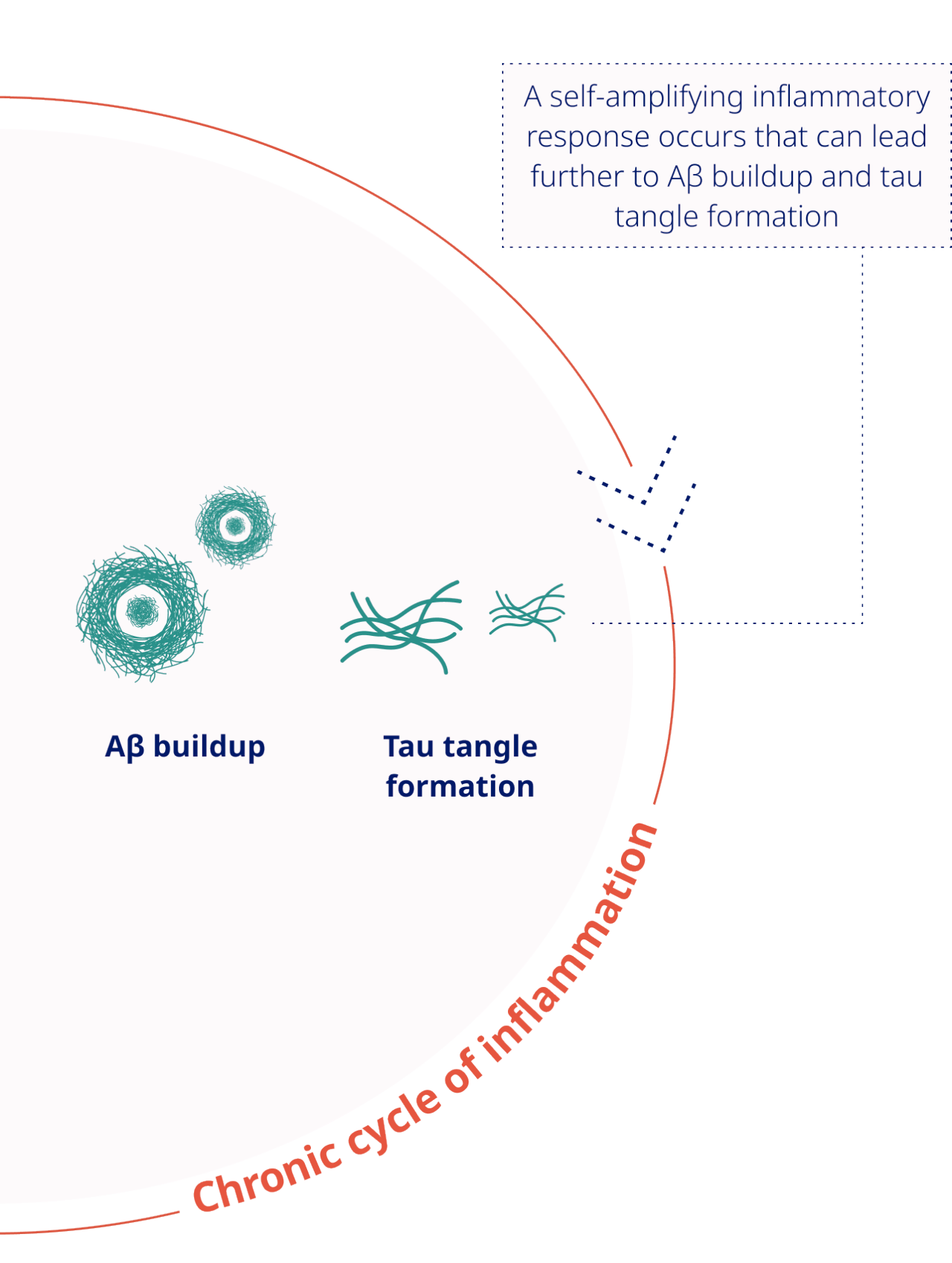 Proinflammatory State and Neuroinflammation infographic