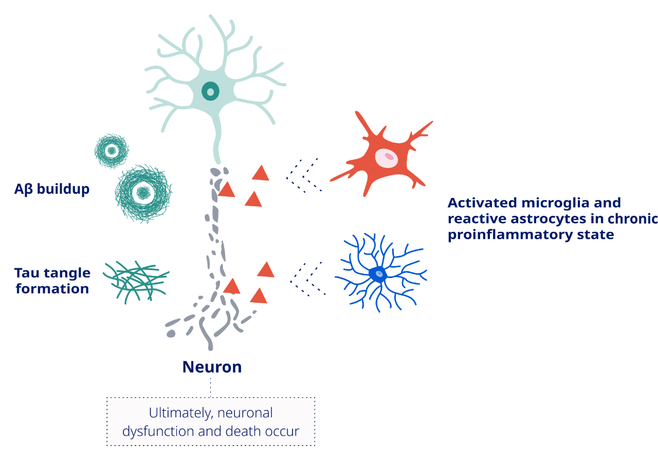 Neurotoxicity and neuronal death infographic